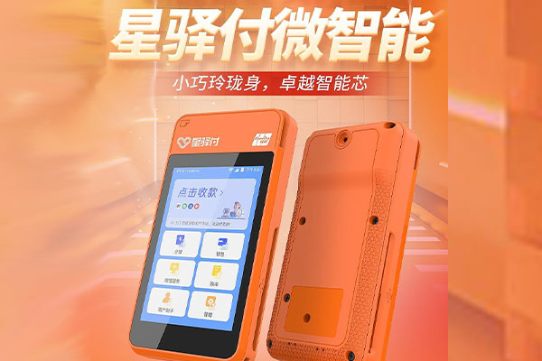 林甸国通微电签POS机